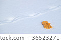 雪場手套4 36523271
