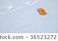 雪場手套5 36523272