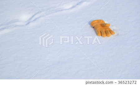 雪場手套5 36523272