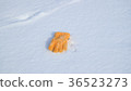 雪場手套6 36523273