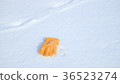 雪場手套7 36523274
