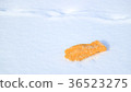 雪場手套8 36523275