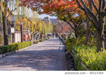 Japan's Autumn Kyoto Gion Kashiwabashi and traditional buildings 36523364