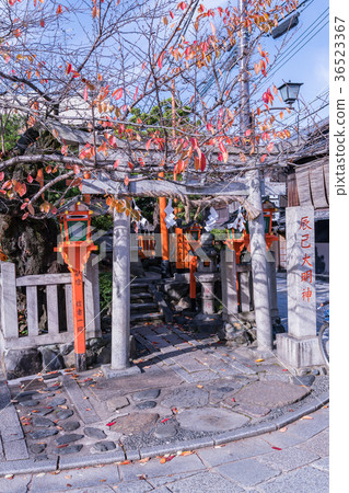 日本的秋天京都祗園柏木和傳統建築 日本的秋天京都祗園柏木和傳統建築 36523367