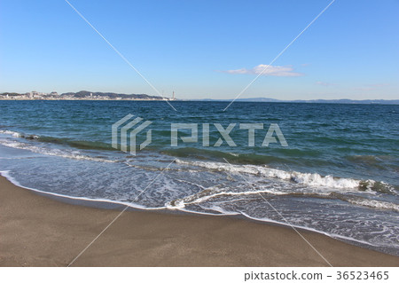 三浦海岸在冬天 36523465