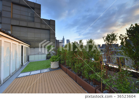 Artificial turf, grass, home, decor, design, pattern, life, modern, fashion Artificial turf, grass, home, decor, design, pattern, life, modern, fashion 36523604