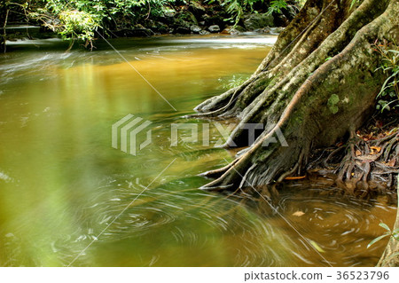 Colorful landscape with trees stones waterfall Colorful landscape with trees stones waterfall 36523796