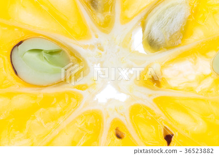 Center Tangerine Orange Slice FruitsandSeed Macro Center Tangerine Orange Slice FruitsandSeed Macro 36523882