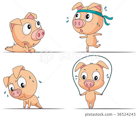 Little pig doing different exercises Little pig doing different exercises 36524243