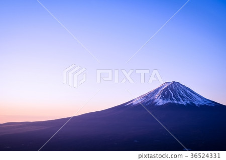 從Shindoen看到的富士山（早晨的景色） 36524331
