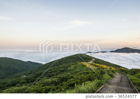Jirisan, Nogodan, Yunhai, Gurye-gun, Jeonnam 36524377