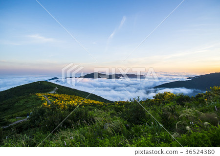 Jirisan, Nogodan, Yunhai, Gurye-gun, Jeonnam 36524380