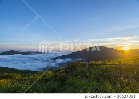 Jirisan, Nogodan, Yunhai, Gurye-gun, Jeonnam 36524381