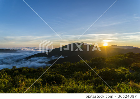 Jirisan, Nogodan, Yunhai, Gurye-gun, Jeonnam 36524387