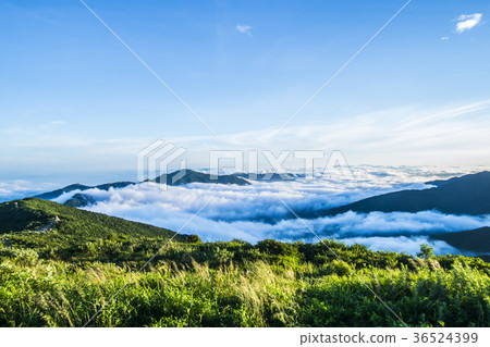 Jirisan, Nogodan, Yunhai, Gurye-gun, Jeonnam 36524399