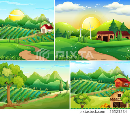Four background scenes of farmyard 36525284