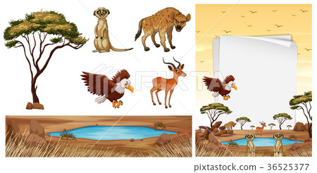Scene with wild animals in the savanna 36525377