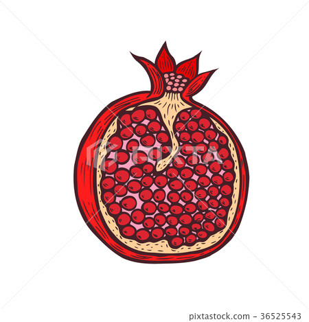 Pomegranate fruit, berry with flower and leafs. 36525543