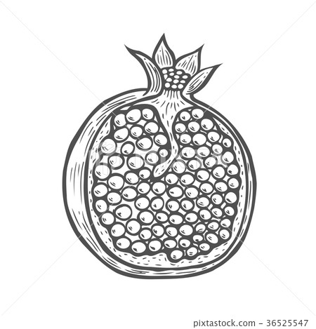 Pomegranate fruit, berry Pomegranate fruit, berry 36525547