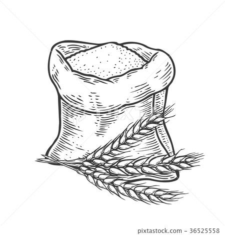 Hand drawn Sack 36525558