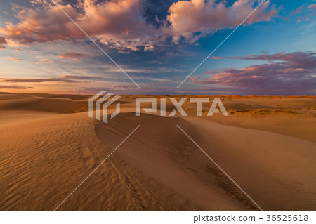 Beautiful views of the Gobi desert. Mongolia. Beautiful views of the Gobi desert. Mongolia. 36525618