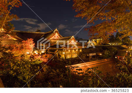 Japan's Autumn Kyoto Kitano Tenmangu Shrine Autumn leaves light up 36525823