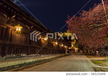 日本的秋天京都北野Tenmangu神社秋葉照亮 日本的秋天京都北野Tenmangu神社秋葉照亮 36525849