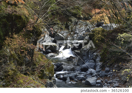 Miyagase Hayatogawa谷秋葉 36526100