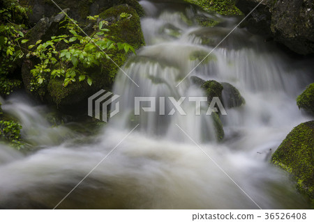 Jangjeon Valley, Pyeongchang County, Gangwon Province Jangjeon Valley, Pyeongchang County, Gangwon Province 36526408