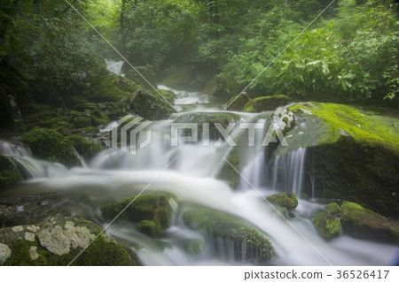 Jangjeon Valley, Pyeongchang County, Gangwon Province 36526417