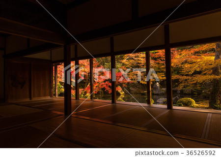 Sideways from the autumn leaves of Shonen Temple in Kyoto 36526592