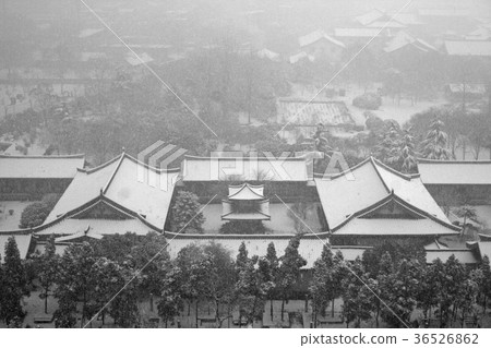 Garden of the Great Tower, covered in snow. 2006/2/25 36526862