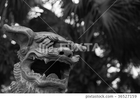 強大的瑜珈公園的Shiisa 36527159