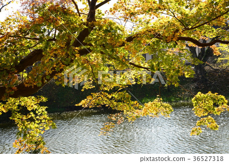 I went to Tanakura Castle Fort # 15 I went to Tanakura Castle Fort # 15 36527318