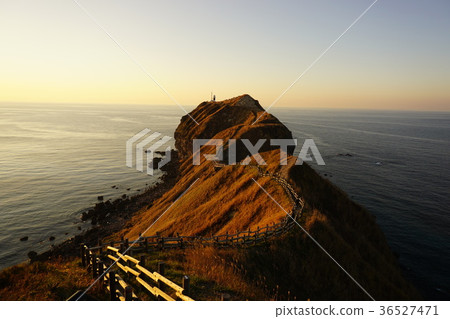 Cape 36527471