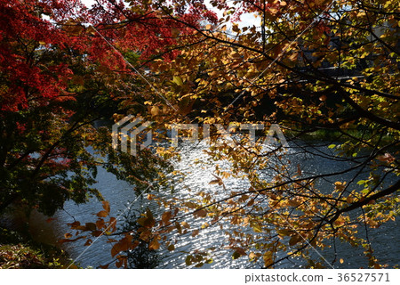 I went to Tanakura Castle Fort # 24 36527571