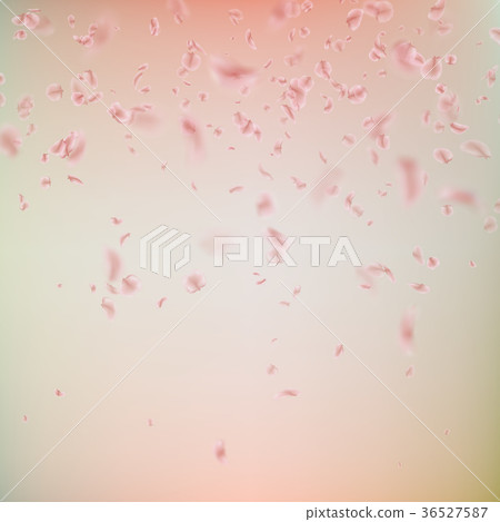 Spring background with pink Sakura petals. EPS 10 36527587