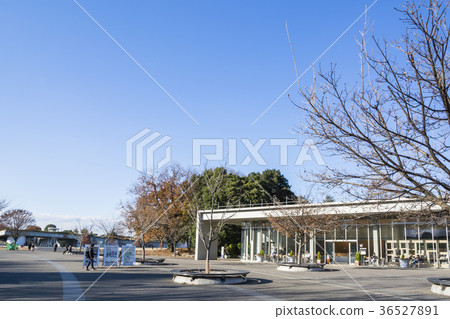 Showa Memorial Park Akebonoguchi 36527891