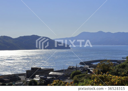 瀨戶在大磯 36528315