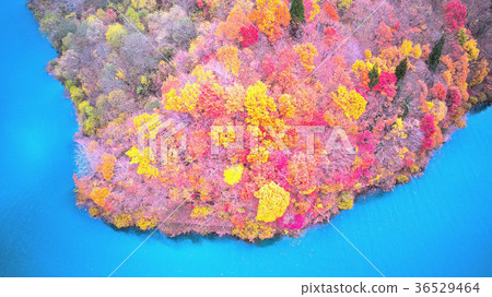 Lake Hosen Akita Prefecture in the late fall 36529464