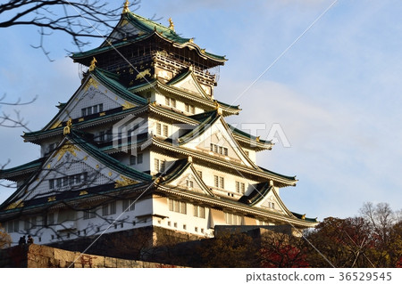 Osaka Castle Tenson Osaka Castle Tenson 36529545