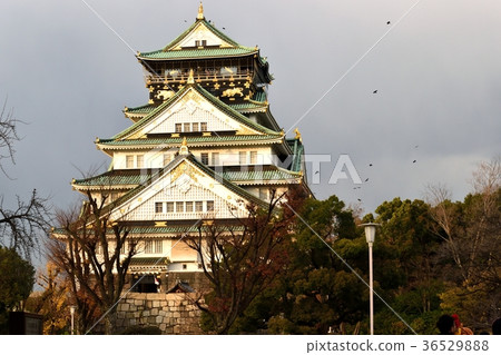 Osaka Castle Tenson 36529888