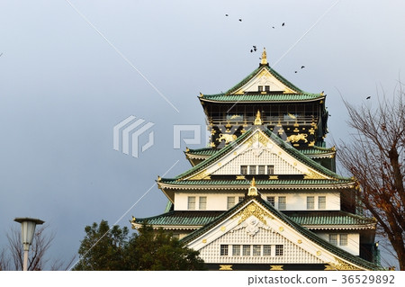 大阪城堡Tenson 36529892