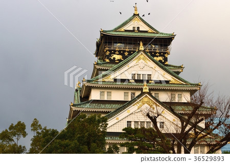 大阪城堡Tenson 大阪城堡Tenson 36529893