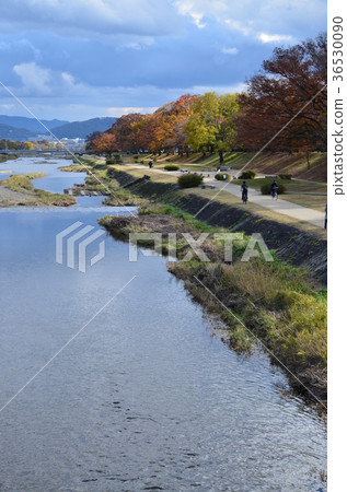 鴨川的秋天 36530090