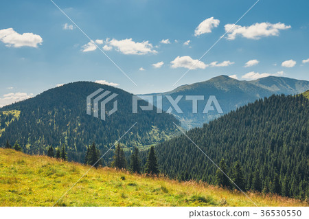 Landscapes of Rodna Mountains in romania Landscapes of Rodna Mountains in romania 36530550