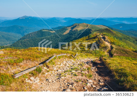 Summer mountain landscape at sunrise  36530623