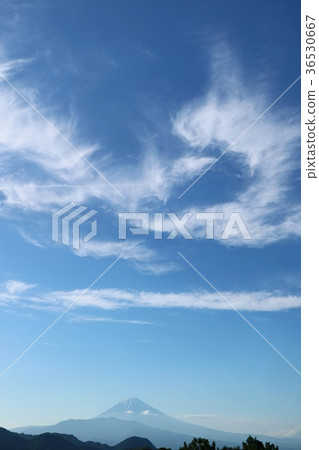 Mt. Fuji Blue sky Cloud Mt. Fuji Blue sky Cloud 36530667