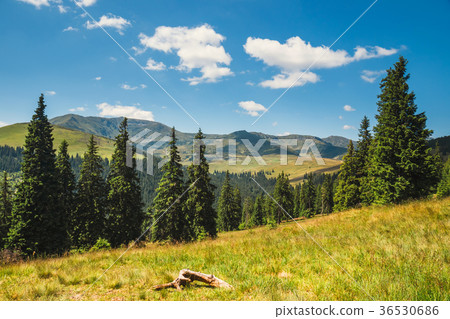 Landscapes of Rodna Mountains in romania Landscapes of Rodna Mountains in romania 36530686
