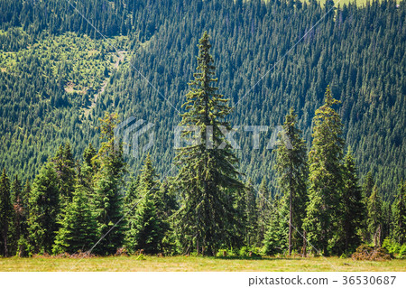 Landscapes of Rodna Mountains in romania Landscapes of Rodna Mountains in romania 36530687